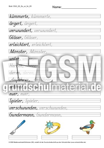 DSS_2S_Bu_er_Nr_05.pdf